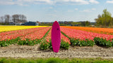 Appletree Klokhouse Noseless Custom Kite Surfboard