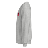Slack Tide Foil Club Unisex Grey Relaxed Crew